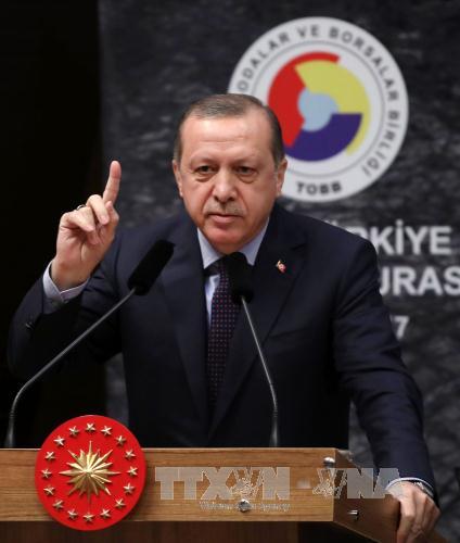 Tổng thống Thổ Nhĩ Kỳ được bầu làm Chủ tịch đảng AKP​ cầm quyền ảnh 1